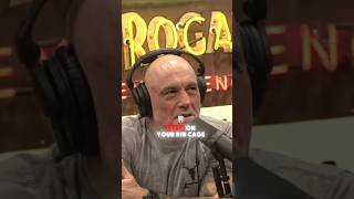 JRE  Shark Attack jre podcast jreclips joerogan [upl. by Aldous]