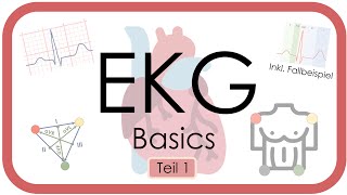 EKG Basics  Step by Step  Grundlagen Einthoven Frequenz Lagetyp PWelle QRS EKGKurs [upl. by Enamrahs]