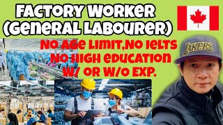 Work in Canada 🇨🇦 as a “Factory Worker” and other job opportunities… With or without experience [upl. by Eelah783]