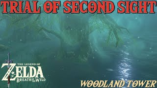 Trial of Second Sight Shrine Quest  Zelda Breath of the Wild [upl. by Eidak]