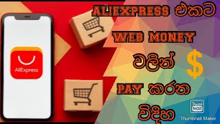 Easy Make Payment Via Webmoney On AliExpress [upl. by Donoghue155]