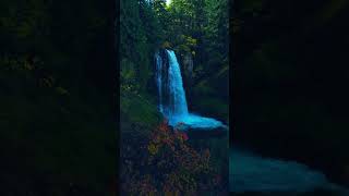 WATERFALL NATURE FOREST shortsvideo nature foryou [upl. by Rankin]