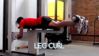 4 Best Hamstring  Biceps Femoris Exercises [upl. by Acinorav]