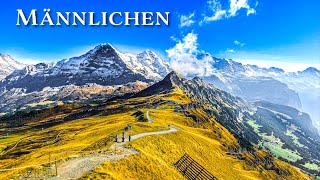 Männlichen 🇨🇭 Walking in the Swiss Alps with Jungfrau views ⛰️ Switzerland 4K [upl. by Mis]