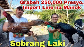 Mamahaling Manok  Paano Inaalagaan [upl. by Benenson323]