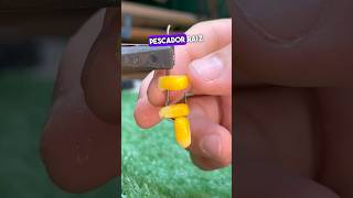 Técnica de índio para colocar milho 🌽 no anzol 😱 pesca anzol shorts tools dica [upl. by Adok851]