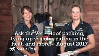 Ask the Vet  Hoof packing tying up vs colic riding in the heat and more  August 2017 [upl. by Neelyar]