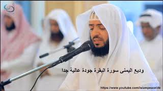 Best Recitation of Surah Al Baqarah By Wadi Al Yamani [upl. by Leveridge981]