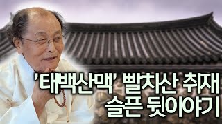 우리가 모른 채 하고 살았던 비극의 역사 빨치산  조정래 작가가 제안하는 북한 핵문제 해결을 위한 해결책  조정래 작가 5 [upl. by Harias]