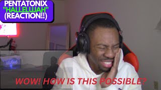 THIS IS INSANE PENTATONIX quotHALLELUJAHquot FIRST REACTION [upl. by Erbe]