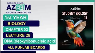 DNA deoxyribonucleic acid Biology 1st Year Chapter02 Lecture28 [upl. by Uella618]