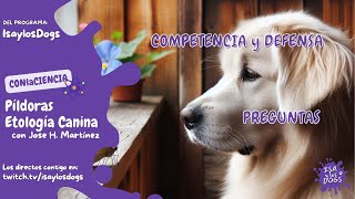 🐾Píldoras de Etología🐶 Programa 9102024 Competencia y Defensa🟣 Preguntas y Respuestas❓ [upl. by Leumek23]