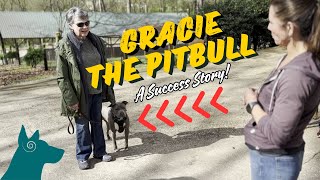 A Pitbull Success Story [upl. by Danita322]