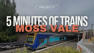 5 Minutes of Trains MOSS VALE [upl. by Booma]