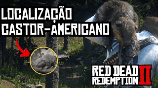 Red Dead Redemption 2 Descubra Duas Incríveis Localizações de Castores [upl. by Fulbert]