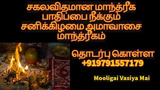 சகலவிதமான மாந்த்ரீக பாதிப்பை நீக்கும் சனிக்கிழமை அமாவாசை மாந்த்ரீகம்  mooligaivasiyamai tamil [upl. by Josefina]