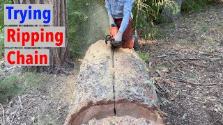 Chainsaw Ripping Chain vs Square Ground Chain [upl. by Ryder]