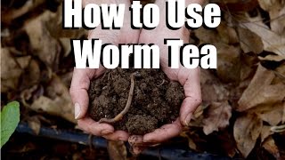 Using Worm Tea in Your Garden  What Why How  Feeding Your Garden 2 [upl. by Ecirtnahc613]