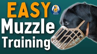 Dog Muzzles Everything You Need To Know And How To Muzzle Train Dogs 153 podcast [upl. by Giefer]