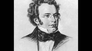 Franz Schubert  Impromptus op 90 D 899  no 1 [upl. by Fennie]