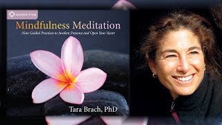 Tara Brach – Mindfulness Meditation 9 Guided Practices Audio [upl. by Joellen]