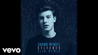 Shawn Mendes  Stitches SeeB Remix  Official Audio [upl. by Aicarg]