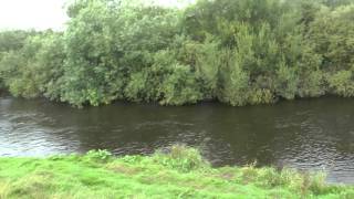 Cundall Hall Fishery River Swale [upl. by Coppinger697]