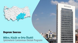 Deprem Sonrası İşletmelerin Canlanması Destek Programı Ödeme Talebi İşlemleri [upl. by Marissa33]