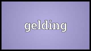 Gelding Meaning [upl. by Jablon]