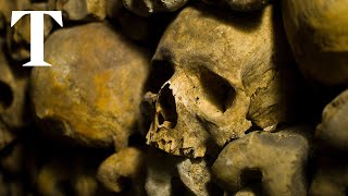 Paris Catacombs The Eerie Underground World of the French Capital  Times Travel [upl. by Watters994]