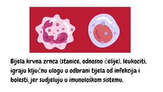 Sastav krvi krvna plazma i krvni elementi [upl. by Goulden]