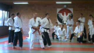 JuJitsu Hand Techniken [upl. by Hunfredo816]