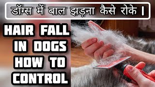 Hair Fall in Dogs  Pets  Puppies  shorts  drrahulvets  viralshorts  Dogs Hairfall [upl. by Anayek]