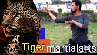 martialarts Tiger style  training  Karate [upl. by Buckler318]