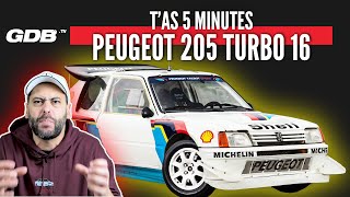 TAS 5 MINUTES  LA PEUGEOT 205 TURBO 16 et le groupe B [upl. by Schrick]