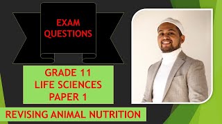 Revising Animal Nutrition  Grade 11  Paper 1  Section B Questions [upl. by Anaira19]