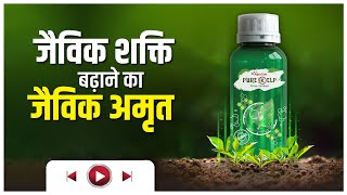 पौधों में जैविक शक्ति बढ़ाने का जैव अमृत 👌 AgroStar PureKelp 🔥 Best Organic Tonic [upl. by Berneta]