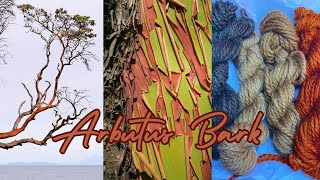 How to Dye with Arbutus I Madrone I Madrona Bark WildcraftDyeing [upl. by Aranat]