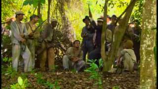 Amazonia Trailer [upl. by Catina605]