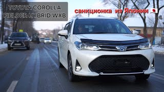 TOYOTA COROLLA FIELDER HYBRID в комплектации WXB Привезённый нами саннкционый автомобиль из Японии [upl. by Gunthar]