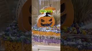 Halloween Hamster Terrarium 🎃🐹 Terrario para Hamster com Aspen e papel [upl. by Amaso674]