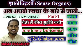 ज्ञानेंद्रियां  Sense Organs in Hindi  Skin Ear Nose Eye TongueSense Organ kya hote haiARSH GS [upl. by Rehpotsirc]