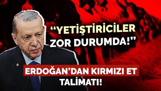 ERDOĞAN’DAN KIRMIZI ET TALİMATI URUGUAY VE BREZİLYADAN HAYVAN İTHAL EDİLECEK [upl. by Attolrahc]