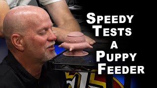 Speedy Tests a Puppy Feeder  HILARIOUSLY [upl. by Werdna]