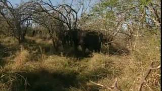 In die Voetspore van die ou Grotes  Episode 11  Swaziland [upl. by Verlee]