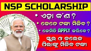 NSP Scholarship 202425 Apply  National Scholarship Portal 202425  NSP Scholarship Amount Details [upl. by Anrym]