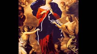 Prayer of Pope Francis Mary Undoer of Knots [upl. by Naux402]