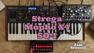 Strega  Mopho X4  SQ1 Jam Session [upl. by Virgil487]