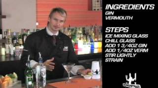 Classic Martini Cocktail Recipe [upl. by Ambler60]