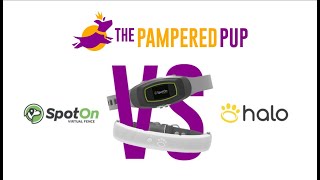 Halo Collar vs SpotOn Virtual Fence Which Is Best For Your Dog [upl. by Haimehen]